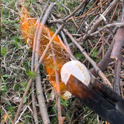 Solid Fuel Tablets Fire Starter